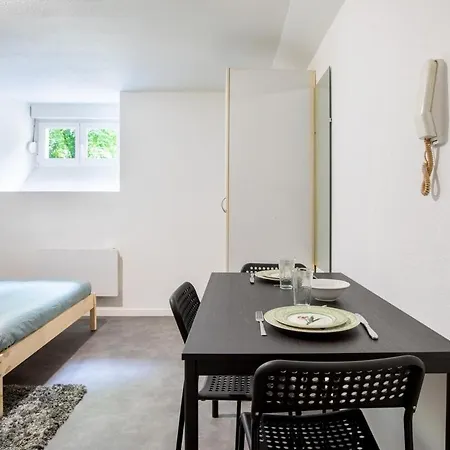 Spacieux Studio, Maison De Maitre, Parking Prive Sur Place, Centre Lägenhet Mulhouse
