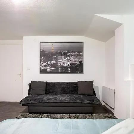 Apartment Spacieux Studio, Maison De Maitre, Parking Gratuit Sur Place, Centre Mulhouse