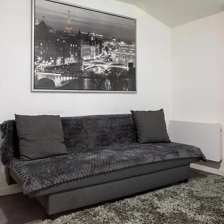 Spacieux Studio, Maison De Maitre, Parking Prive Sur Place, Centre Lägenhet *