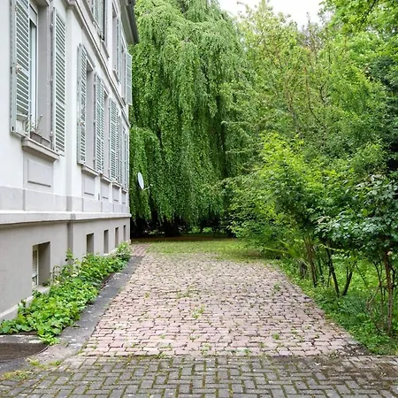 Lägenhet Spacieux Studio, Maison De Maitre, Parking Prive Sur Place, Centre Mulhouse